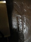 IMG_3238.JPG