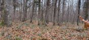 IMG_20211108_133709.jpg