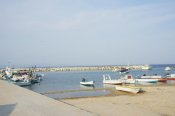 DSC01982.JPG