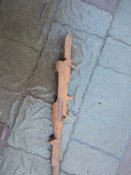 IMG_20211109_080137.jpg