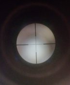 IMG_20211102_075344_929~2.jpg