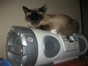 IMG_0835.JPG