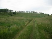 IMG_7154.JPG