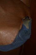 DSC_6732.JPG