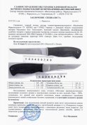 Экспертное_заключение_МВД_.0005.jpg