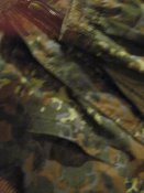 IMG_1421.JPG