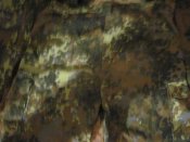 IMG_1417.JPG