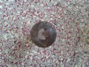 20130613_164750.jpg