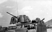 M-113 acav Tiger Division 61.jpg