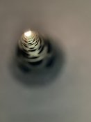 9F26D315-7A61-4C89-B51F-D97558682138.jpeg