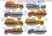 Sd_250_Kfz-1.jpg