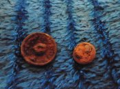 DSC00784-1.jpg