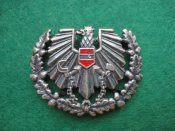 Знак/кокарда армейская