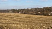 IMG_0026.JPG