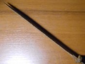 DSCN6080.JPG