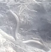 VID_20211107_115633_261.jpg
