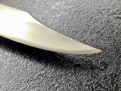 IMG_7439.jpeg