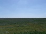 13.05.09_04.JPG