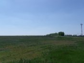 13.05.09_05.JPG