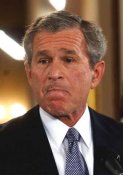 bush.jpg