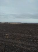 IMG_20211122_154949.jpg