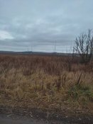 IMG_20211122_155004.jpg