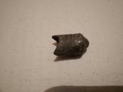 IMG_20211124_211231.jpg