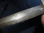 IMG_4483.JPG