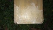 IMG_20211125_153326_955.jpg