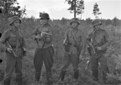 Офицеры шведского батальона финской армии...