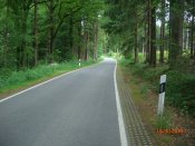 CIMG8307.JPG