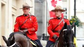 Нашивка шеврон Royal Canadian Mounted Police