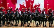 Нашивка шеврон Royal Canadian Mounted Police