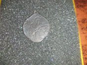 IMG_20211130_081936.jpg