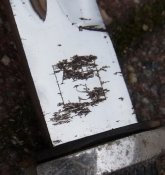 R0991491.JPG