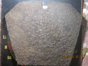 IMG_0169.JPG