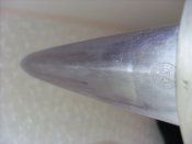SL381760.JPG