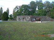 DSCN5060 1.jpg