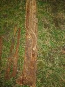 IMG_20211204_165600.jpg