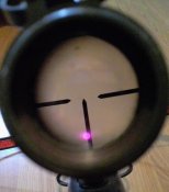 Crop_1638638858557.jpg