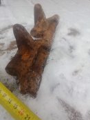 IMG_20211208_122125_006.jpg