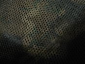 IMG_3920.JPG
