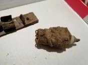 IMG_20211212_174533.jpg