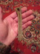 IMG_20211214_180205.jpg