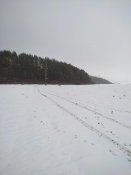 IMG_20211210_102333.jpg