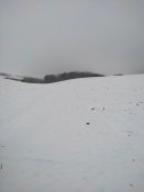IMG_20211210_102343.jpg