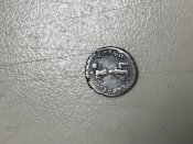 IMG_4155.jpeg