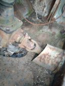 IMG_20211221_095242.jpg