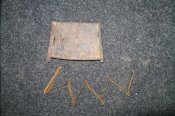 DSC00115.JPG