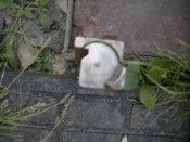 DSCN4447.jpg